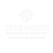True North Forensics & Advisory logo