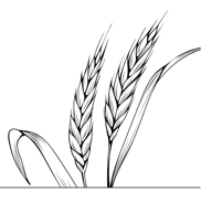 The Warwickshire Baker logo