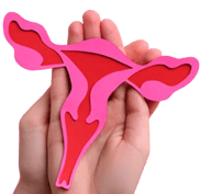 Apoio e Informação sobre Menopausa logo