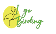 I go Birding