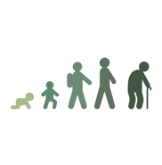 Age Stages