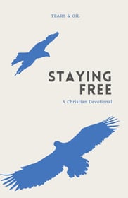 book cover staying free christian devotional blue birds flying