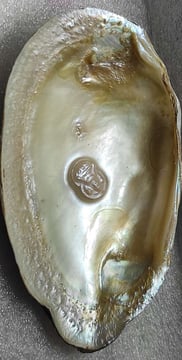 "Divine face designer pearl–11mm cultured pearl with glossy finish-Export-ready"