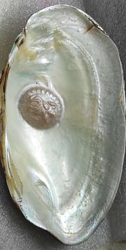 "Divine face designer pearl in white, approx 11mm–angled side view-Export-standard"