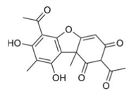 Molécule lichénique – Acide usnique