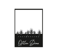 Residencial Otilia Diaz