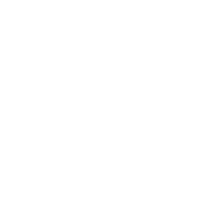 Icona ADS