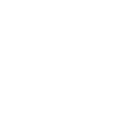 Icona ADS