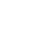 B&L logo