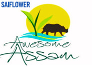 organic production service company Saiflower  logo