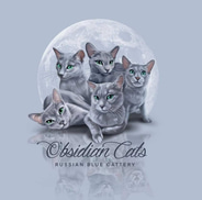 Obsidian Cats  logo