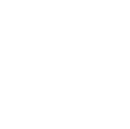BizUp logo