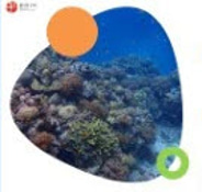 Coral reef monitoring logo