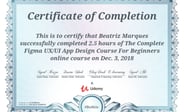 The Complete Figma UX/UI App Design Course 4B certificate