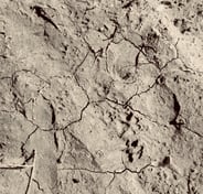 wildclay naturelle bretonne