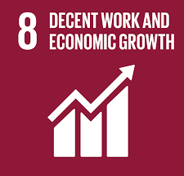 SDG 8 