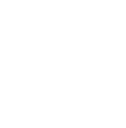 Icona Drone