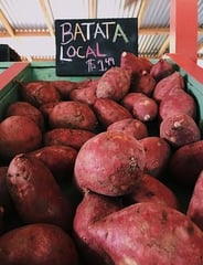 sweet-potato-for-skin-wrinkles