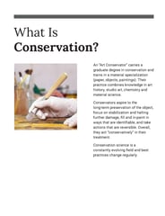 Unvarnished Panel Example Conservation