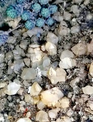 Quartz automorphes. ©C.Coutin