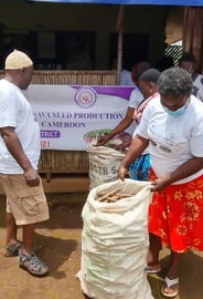 Cassava Seeding Production Training