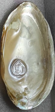 "Side view of 11mm white heart-shaped designer cultured pearl-nucleus-grown form-for worldwide trade".