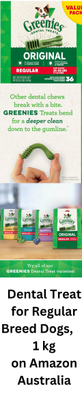 dental dog chews