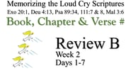 Review B (Days 1-7)