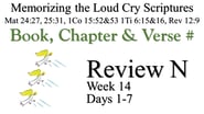 Review N (Days 1-7)