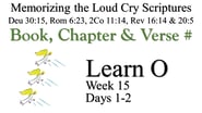 Learn O (Days 1-2)