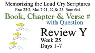 Review Y (Days 1-7) with Q