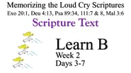 Learn B (Days 3-7)