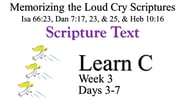 Learn C (Days 3-7)