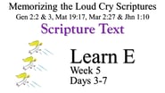 Learn E (Days 3-7)