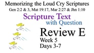 Review E (Days 3-7) with Q