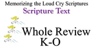 K-O Scripture Text Whole Review