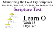 Learn O (Days 3-7)