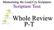 P-T Scripture Text Whole Review