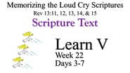 Learn V (Days 3-7)