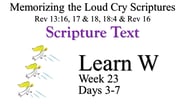Learn W (Days 3-7)