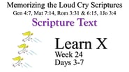 Learn X (Days 3-7)