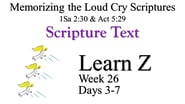 Learn Z (Days 3-7)