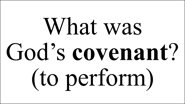 Deuteronomy 4:13 And he declared unto you his covenant, which he commanded you to perform,