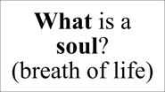 What is a soul? (breath of life)