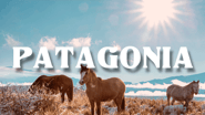 PATAGONIA HONEYMOON TRIP