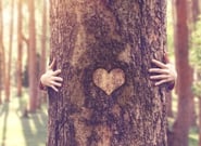 mains tenant un cœur en forme de cœur devant un arbre
