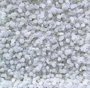 Backdrops for rent
