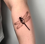 detailed dragonfly tattoo in kaunas idea