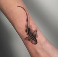 Detali ryklio tatuiruotė ant rankos, tattoo ideas