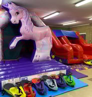 Bouncy Castle and Mini Slide Party Package